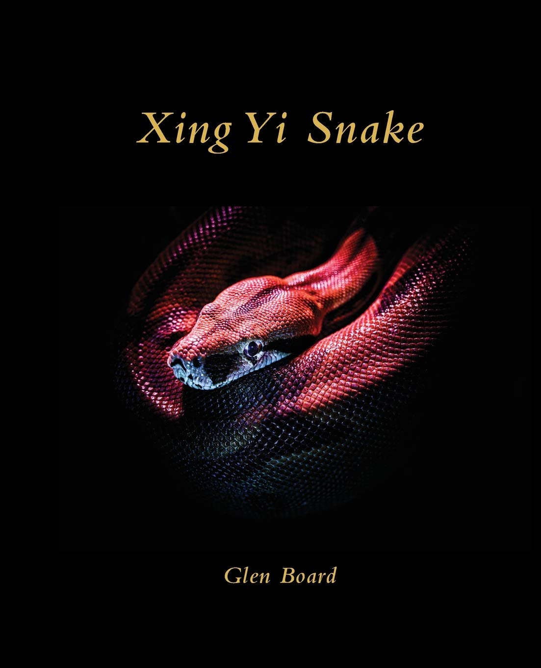 Xing Yi Snake - by Glen Board - cover image